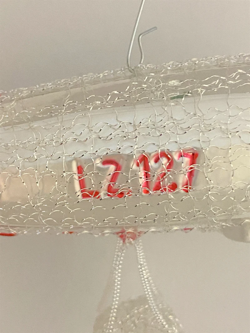 Zeppelin L2.127, Graf Zeppelin