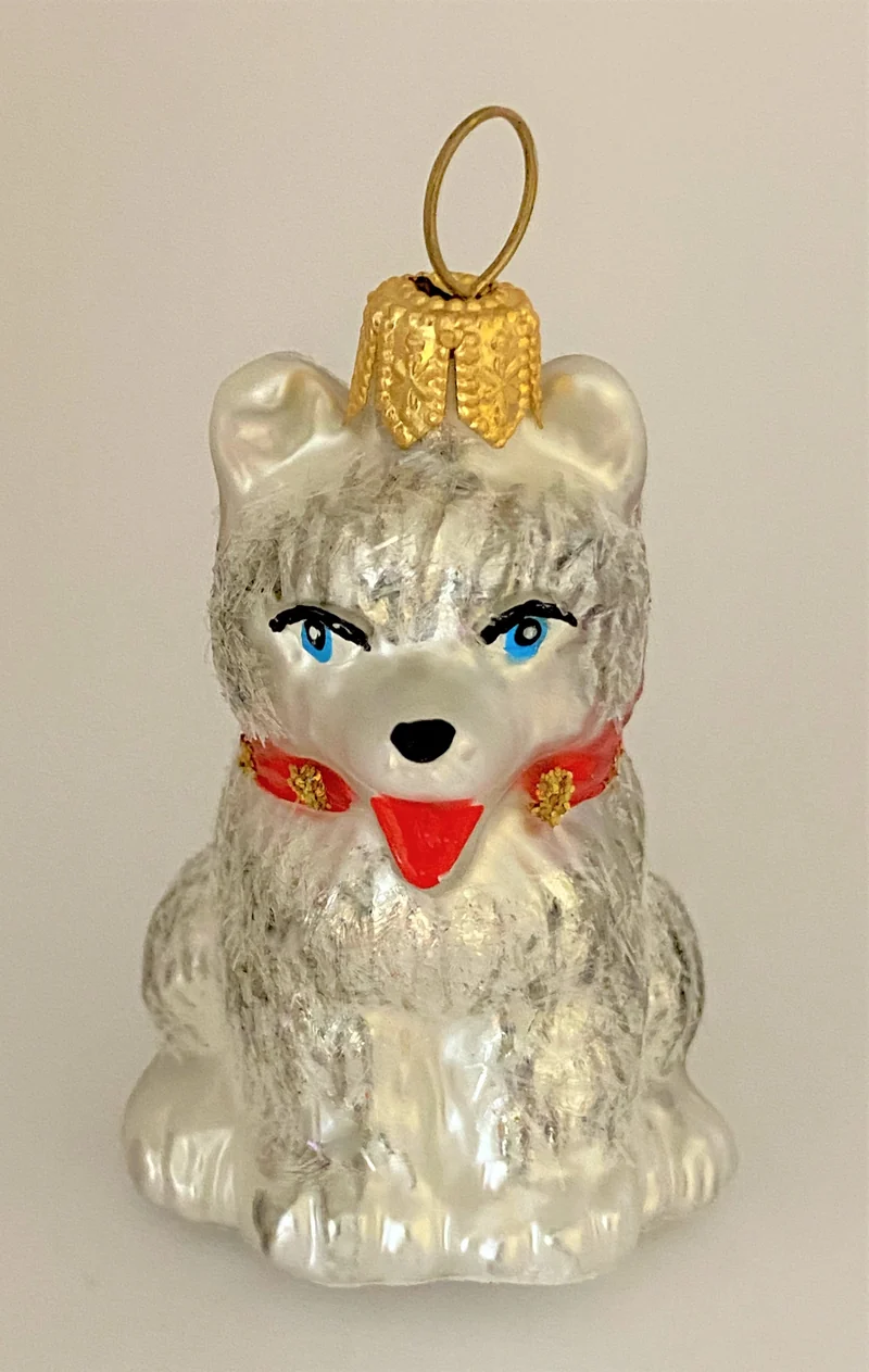 Kleiner Husky-Hund mit rotem Halsband