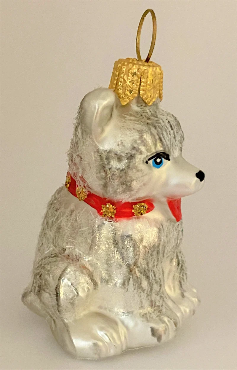Kleiner Husky-Hund mit rotem Halsband
