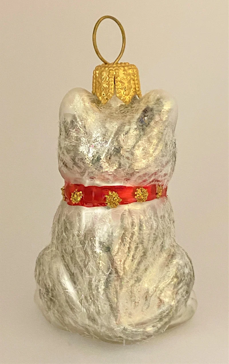 Kleiner Husky-Hund mit rotem Halsband