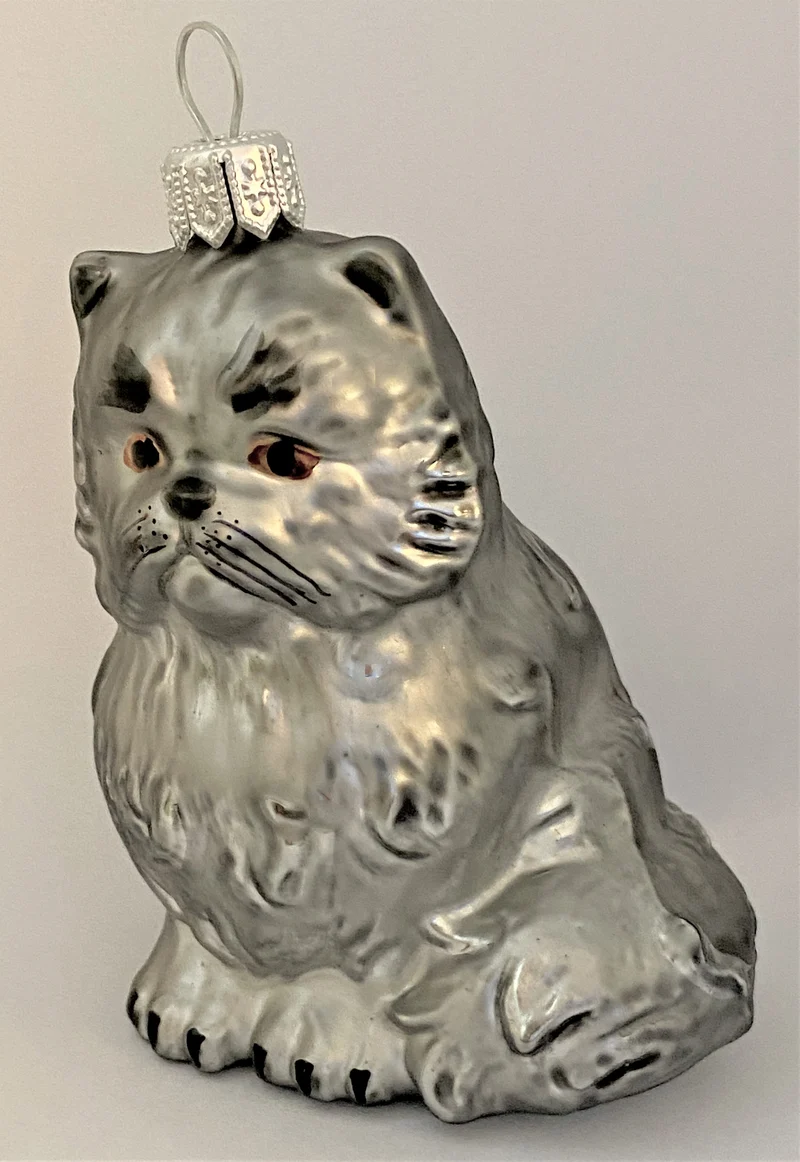 Graue Perser-Katze