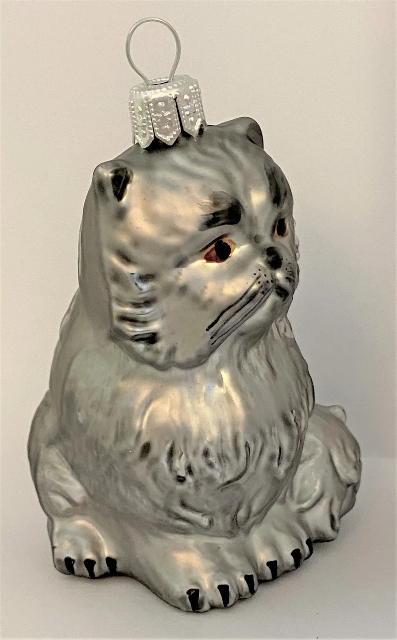 Graue Perser-Katze