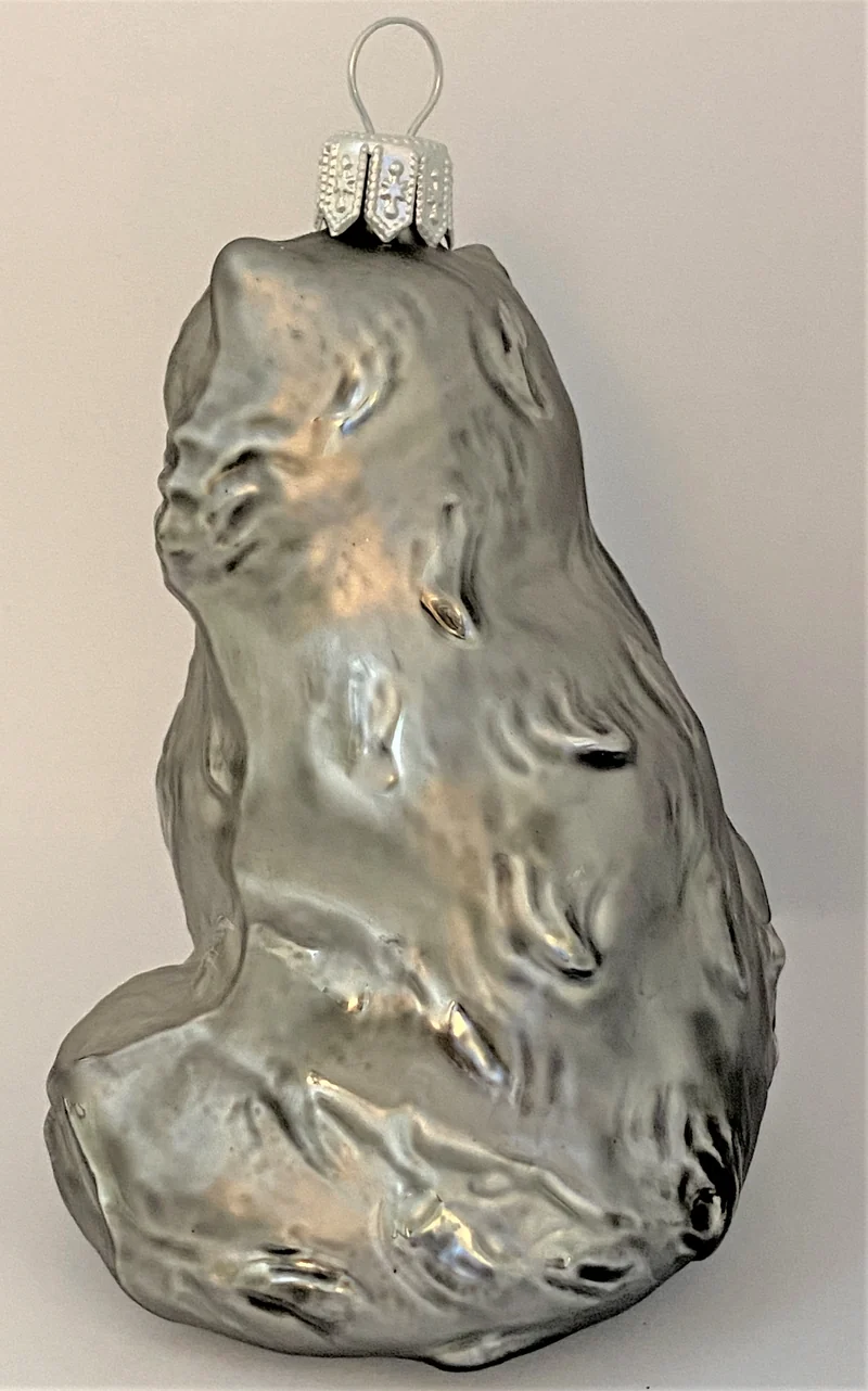 Graue Perser-Katze
