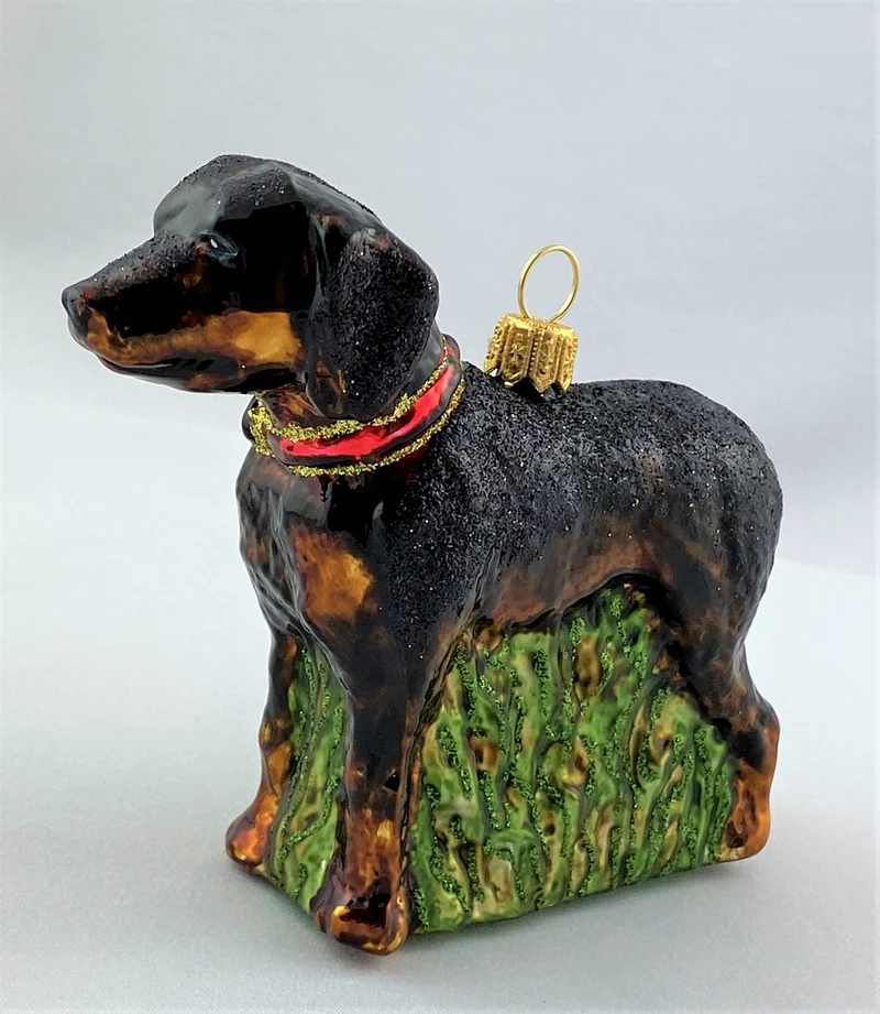 Schwarzwildbracke, Jagdhund