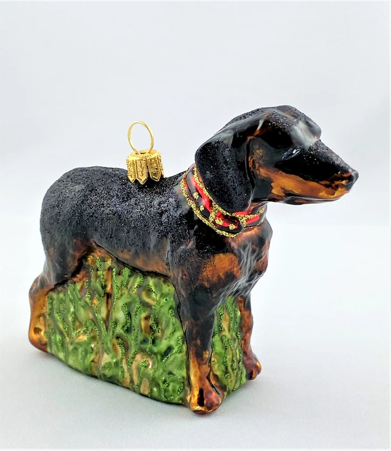 Schwarzwildbracke, Jagdhund