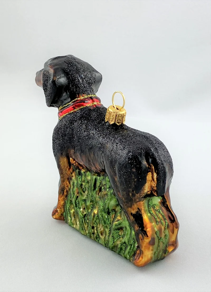 Schwarzwildbracke, Jagdhund