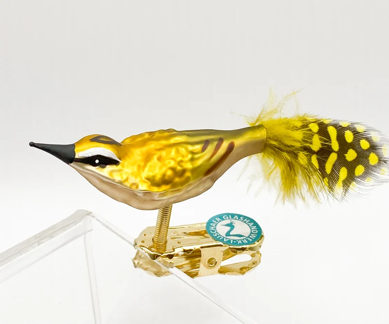 Kleines Sommergoldhähnchen