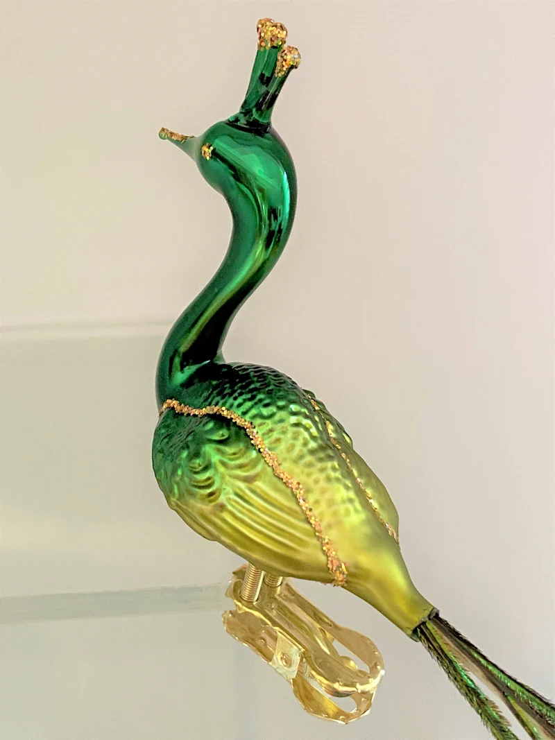 Grüner Pfau mit Pfauenfeder