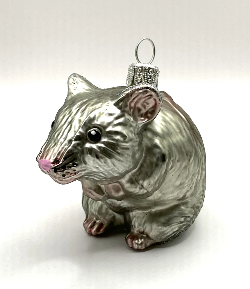 Neugierige graue Maus