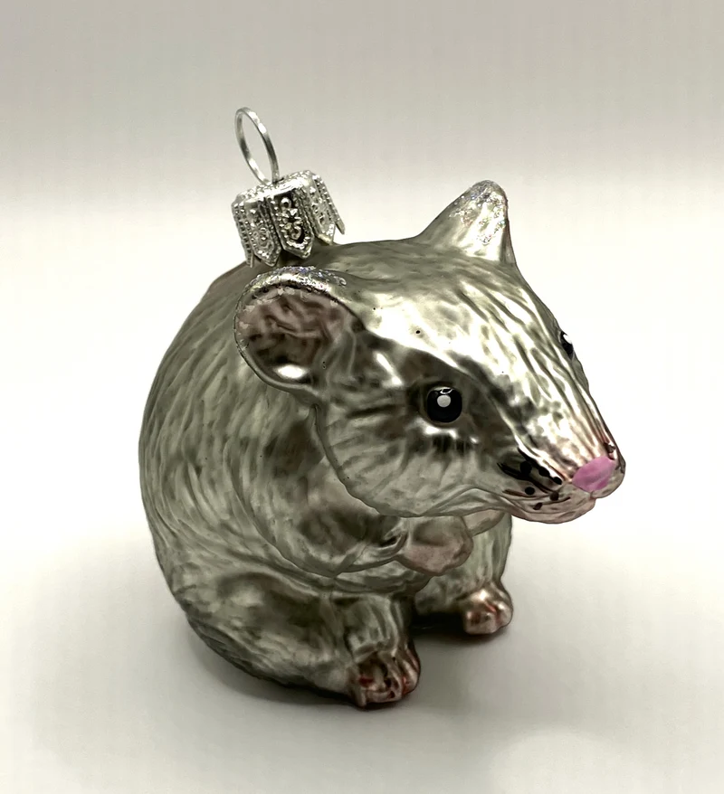 Neugierige graue Maus