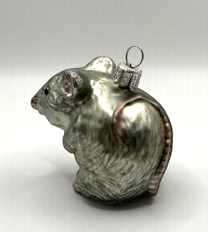 Neugierige graue Maus