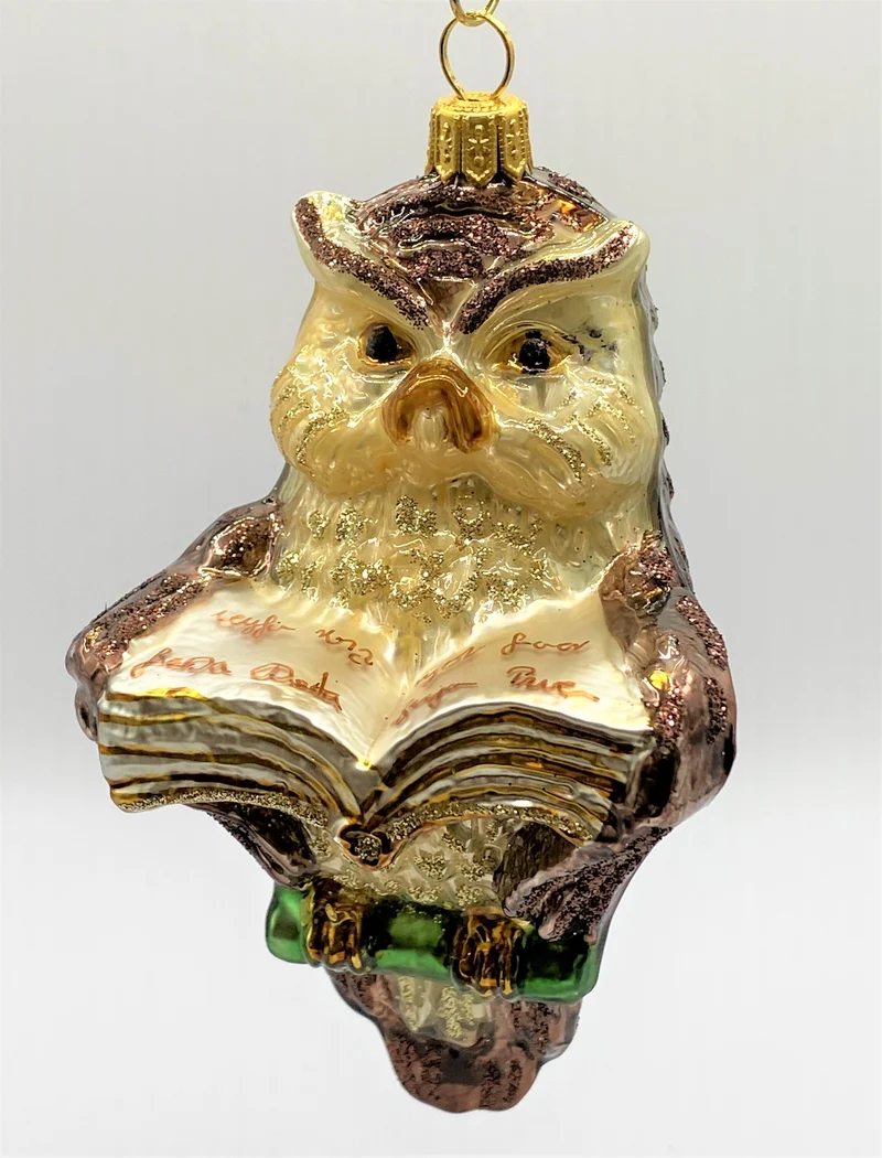 Braune Eule mit Buch