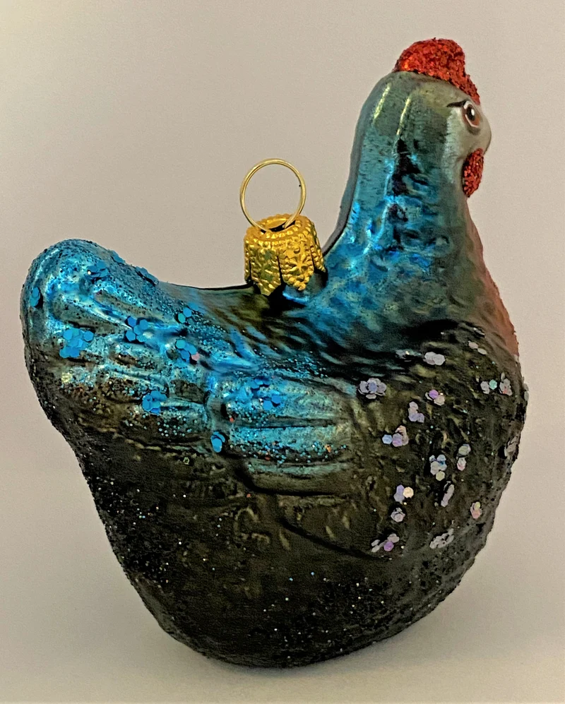 Hübsches buntes Huhn