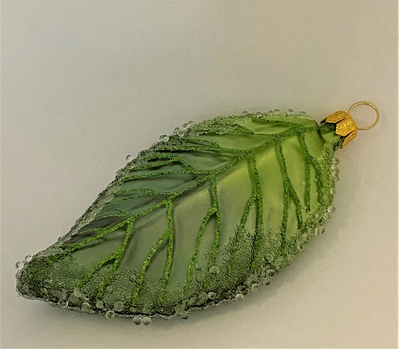 Grünes Kirschbaum-Blatt