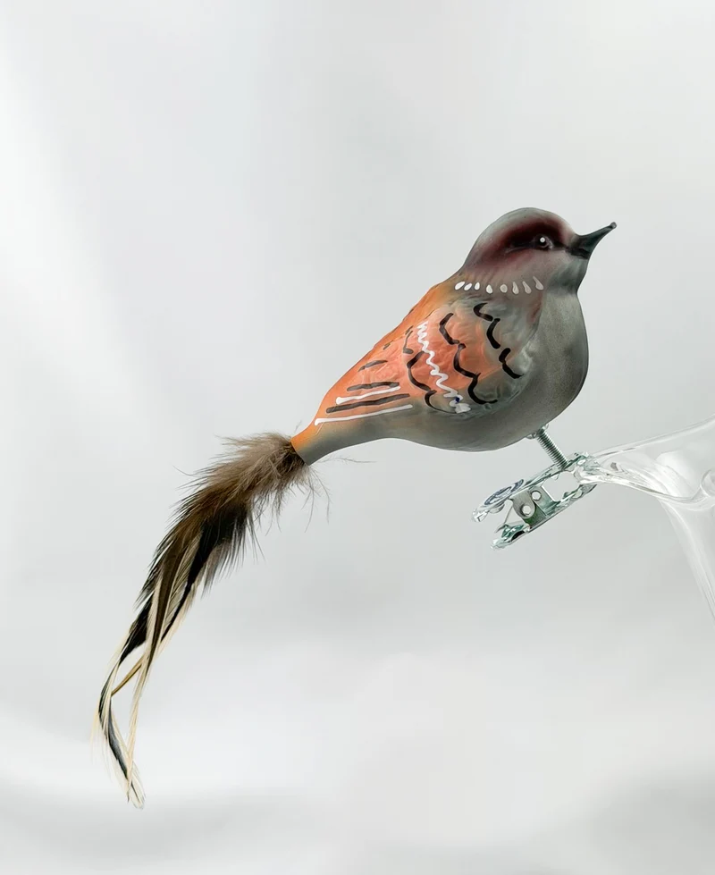 Dicker Haus-Sperling, Spatz mit hellbrauner Naturfeder