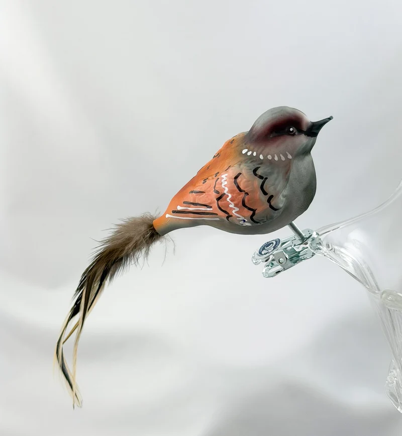Dicker Haus-Sperling, Spatz mit hellbrauner Naturfeder