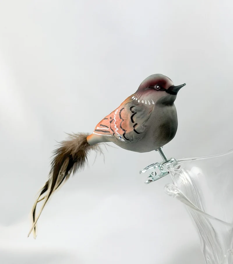 Dicker Haus-Sperling, Spatz mit hellbrauner Naturfeder