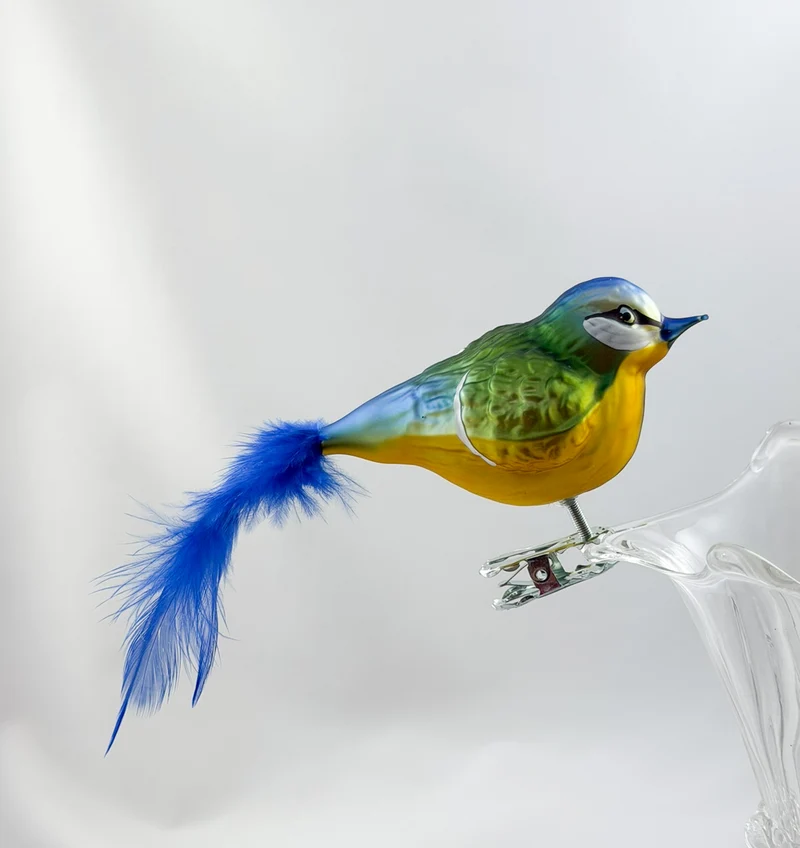 Dicke Blaumeise mit blauer Naturfeder