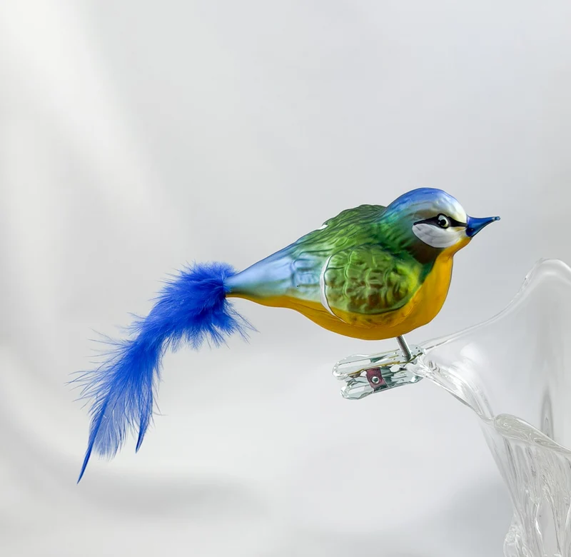 Dicke Blaumeise mit blauer Naturfeder