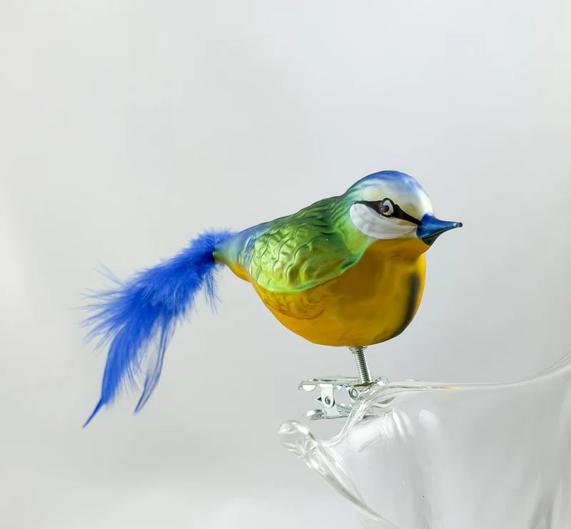 Dicke Blaumeise mit blauer Naturfeder