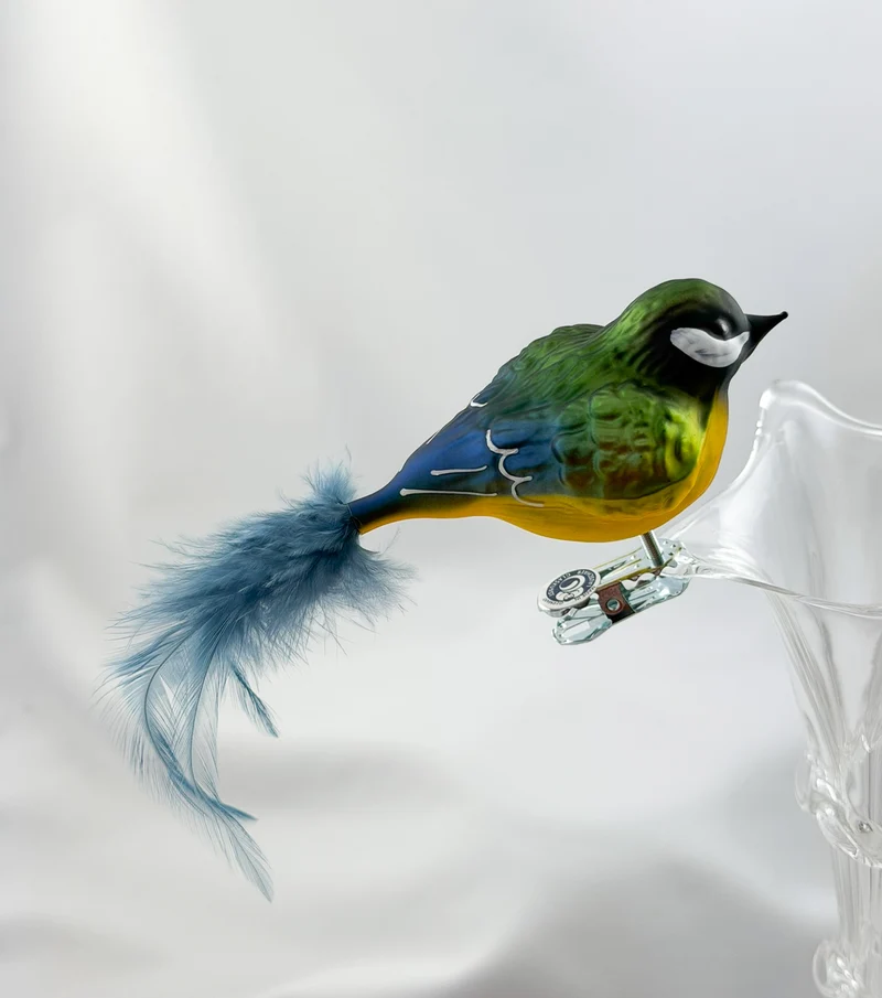 Dicke Kohlmeise mit hellblauer Naturfeder