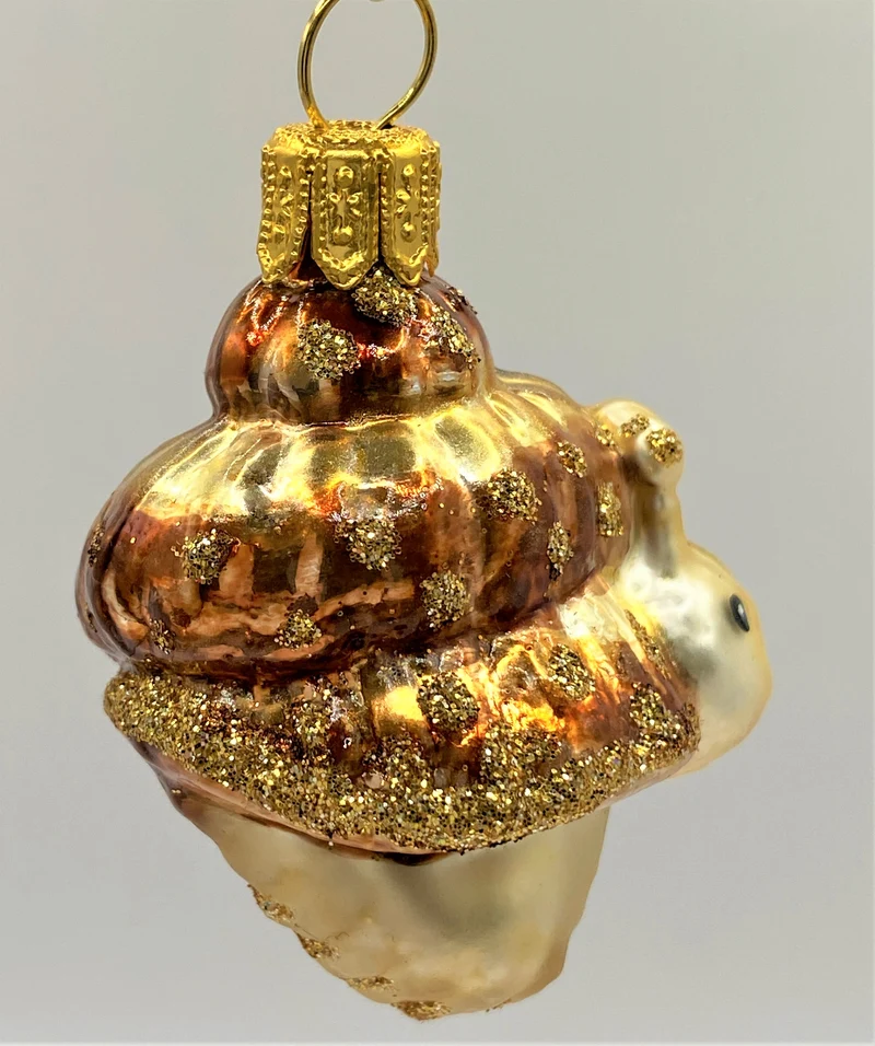 Kleine nette Schnecke mit braunem Häuschen