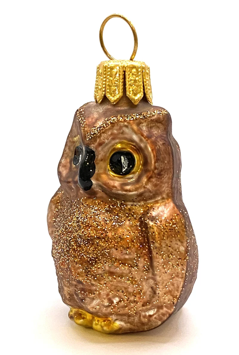 Kleiner brauner Kauz