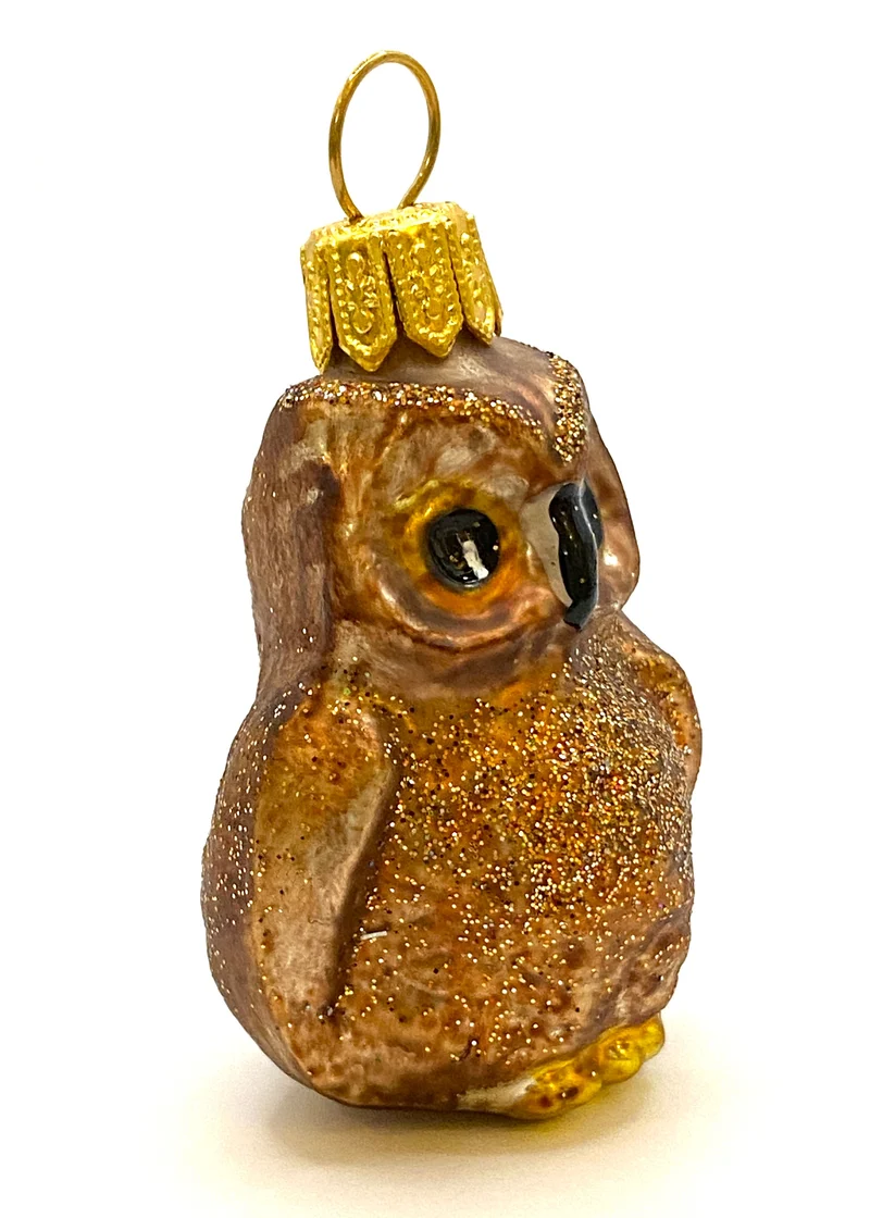 Kleiner brauner Kauz