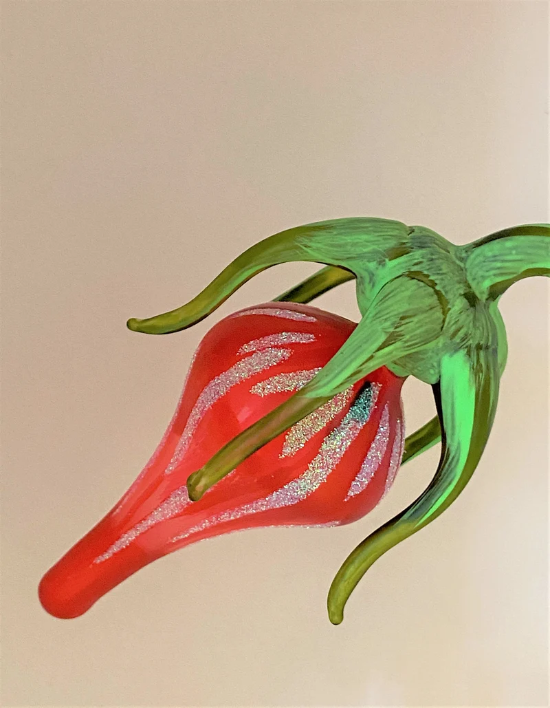 Rote Blüte auf Clip