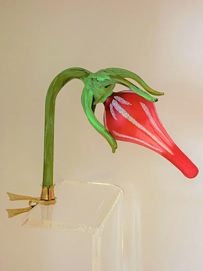Rote Blüte auf Clip
