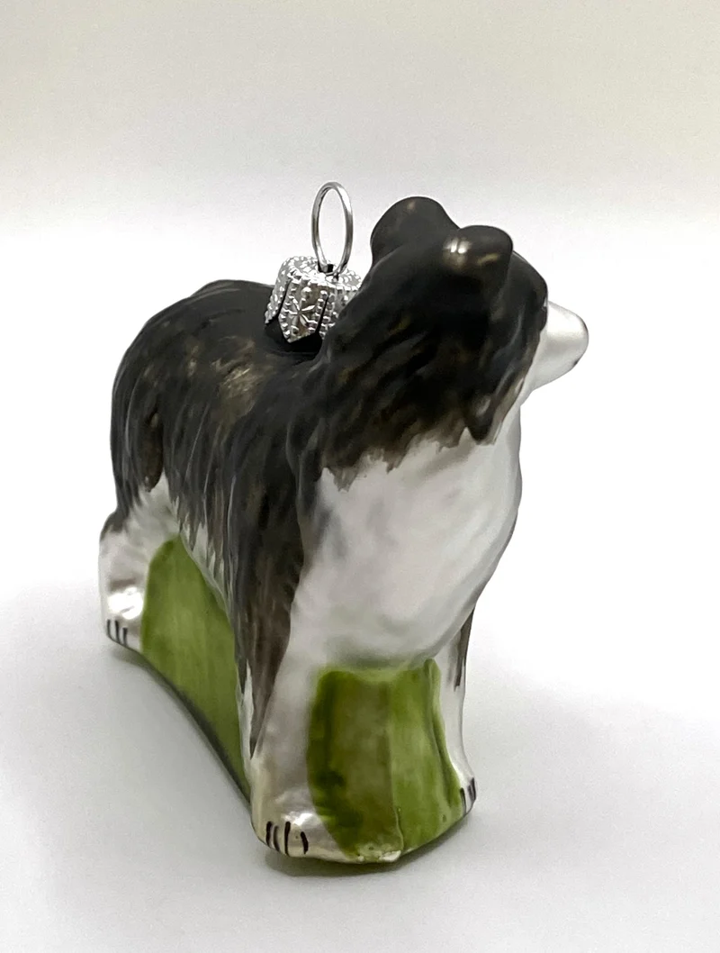 Border Collie Hund
