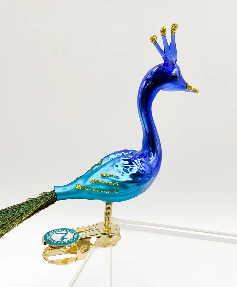 Blauer Pfau mit Pfauenfedern