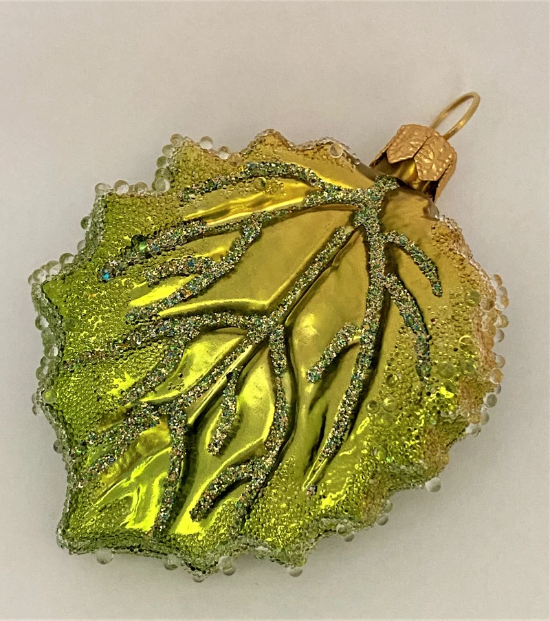 Grünes Pappel-Blatt Herbstfrost
