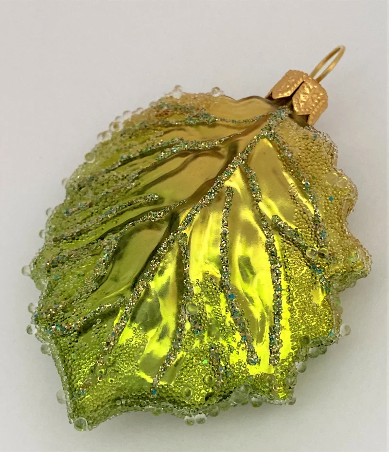 Grünes Pappel-Blatt Herbstfrost