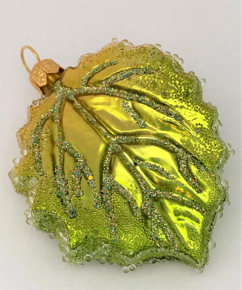 Grünes Pappel-Blatt Herbstfrost