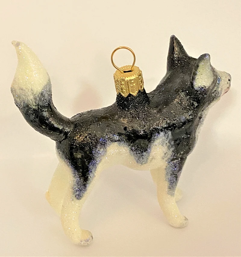 Schwarz-weisser Husky