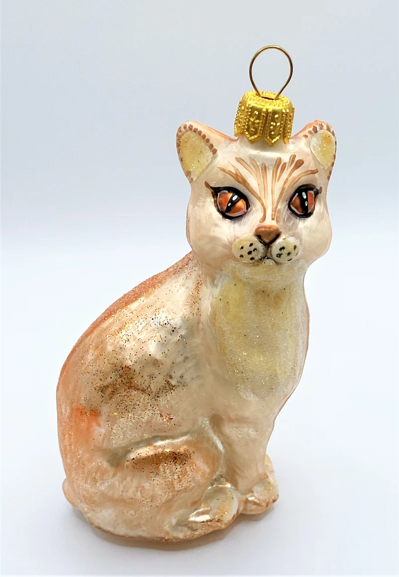 Aufrecht sitzende rot/weisse Katze