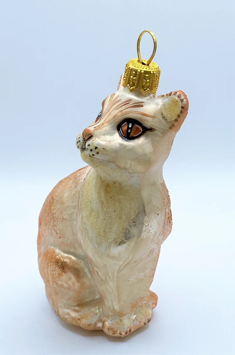 Aufrecht sitzende rot/weisse Katze