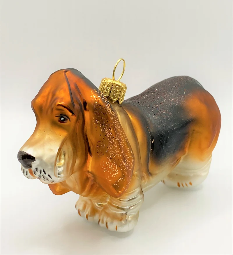 Basset Hound-Hund