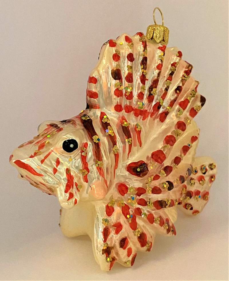 Pazifischer Rotfeuer-Fisch