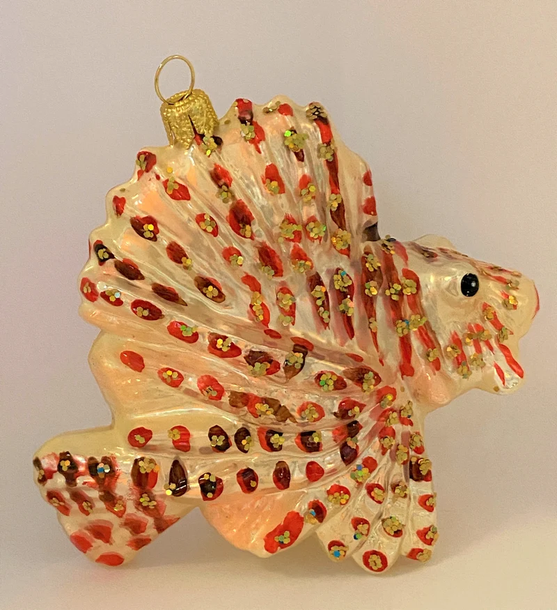Pazifischer Rotfeuer-Fisch