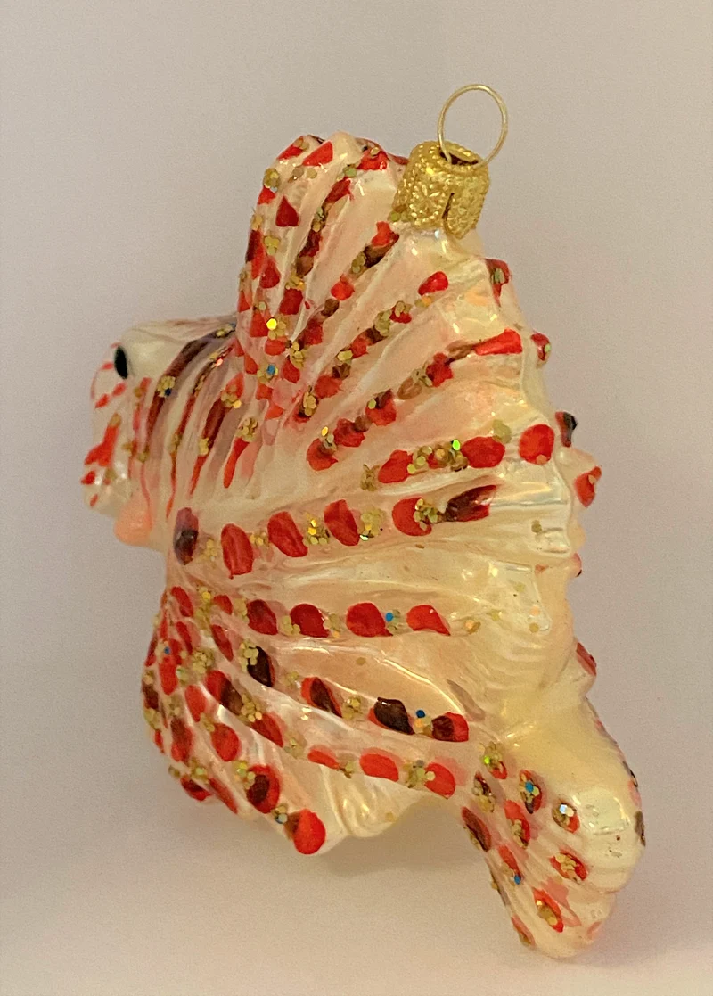 Pazifischer Rotfeuer-Fisch