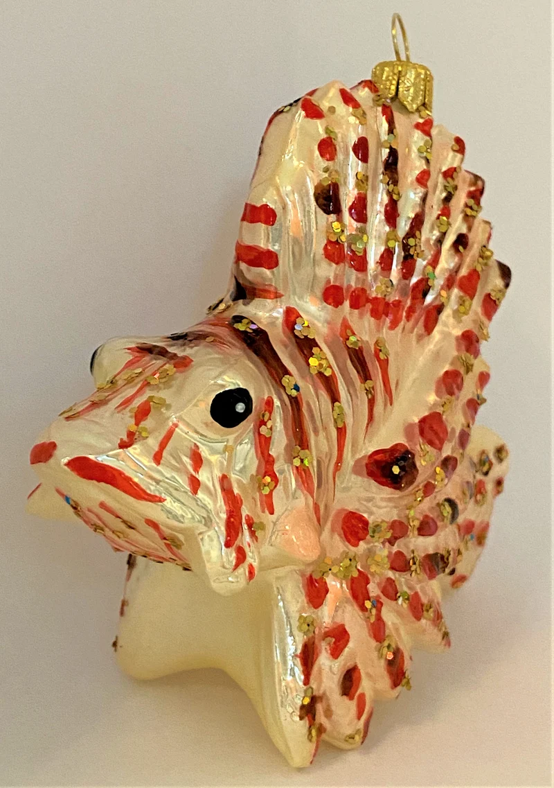 Pazifischer Rotfeuer-Fisch