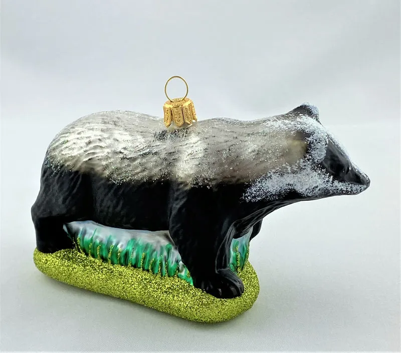 Dachs unterwegs