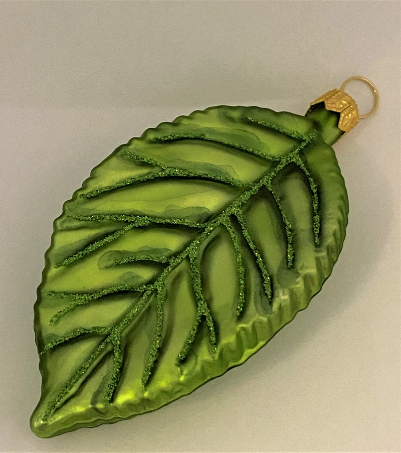 Grünes Apfelbaum-Blatt