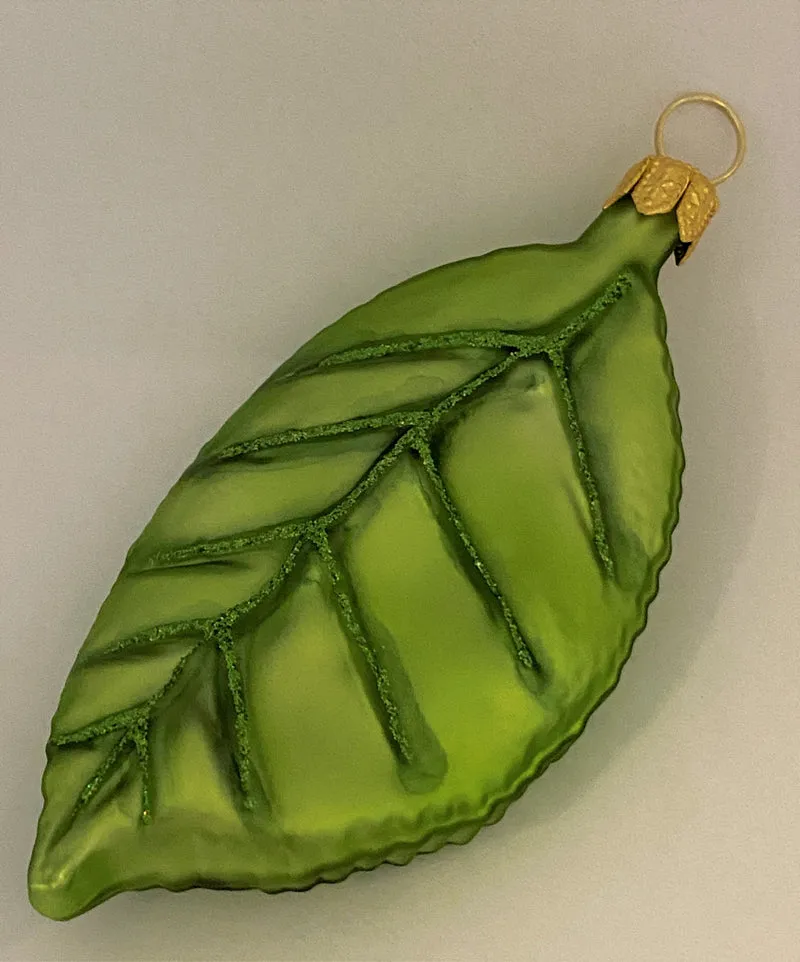 Grünes Apfelbaum-Blatt