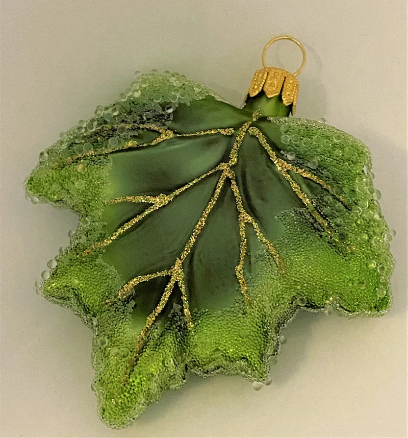 Grünes Johannisbeeren-Blatt