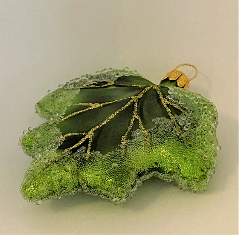 Grünes Johannisbeeren-Blatt