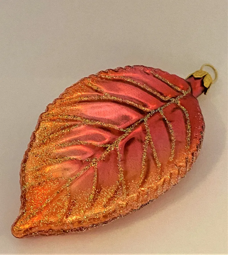 Apfelbaum-Blatt Herbst Glanz