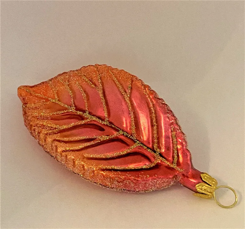Apfelbaum-Blatt Herbst Glanz